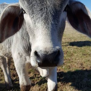 Meet your Posher, Jeff